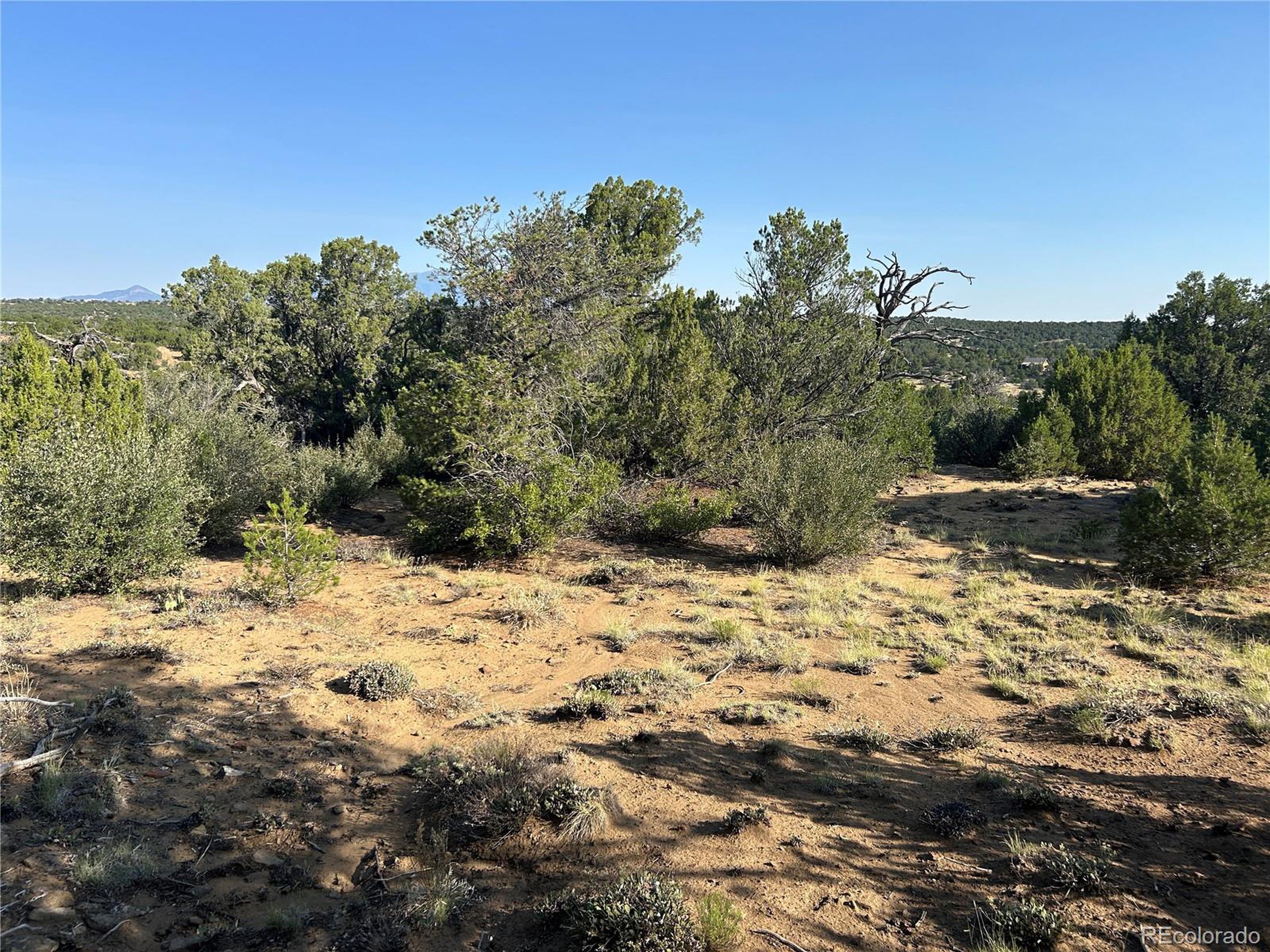 905 Rio Cucharas Phs 3 Walsenburg, CO 81089 - Photo 7 of 14 a view of a yard with a tree