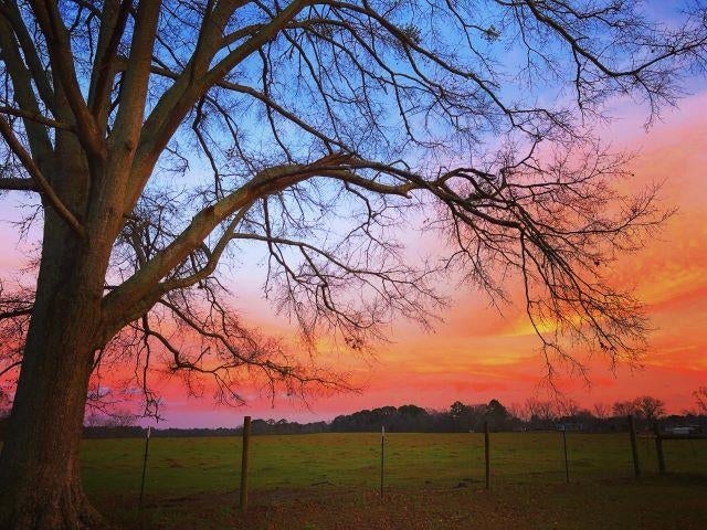 900 Old Perry Store Road Opp, AL 36467 - Photo 49 of 50 Gallery Image 49