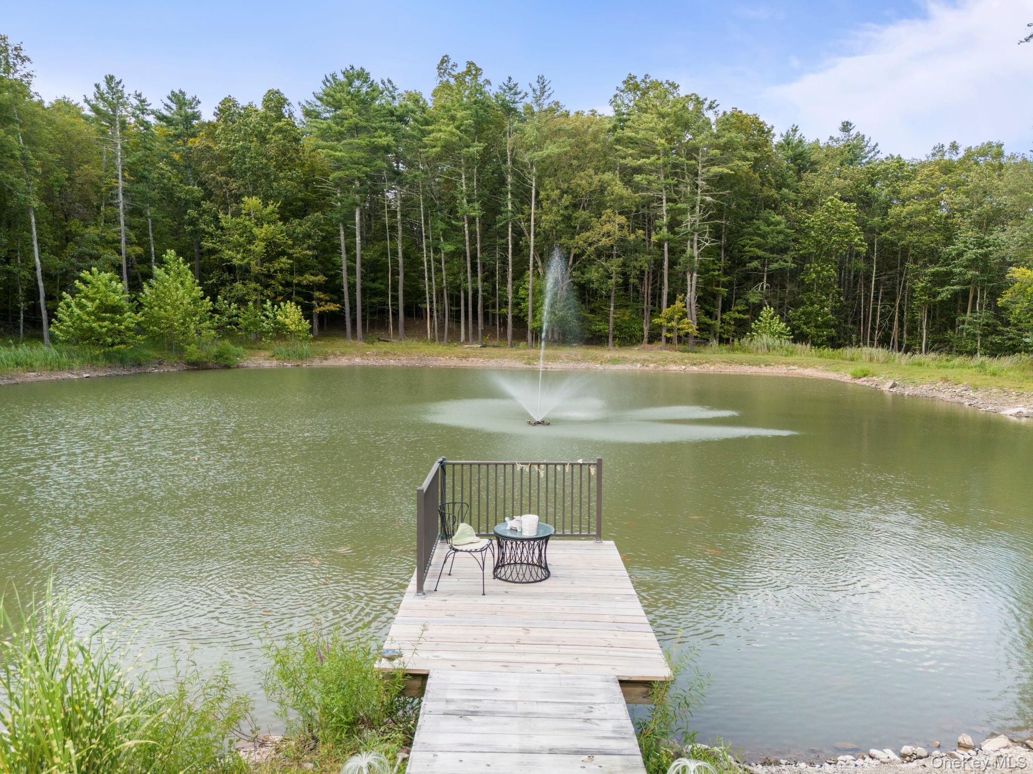 174 Webber Road Coxsackie, NY 12058 - Photo 45 of 50 a view of a swimming pool with a yard