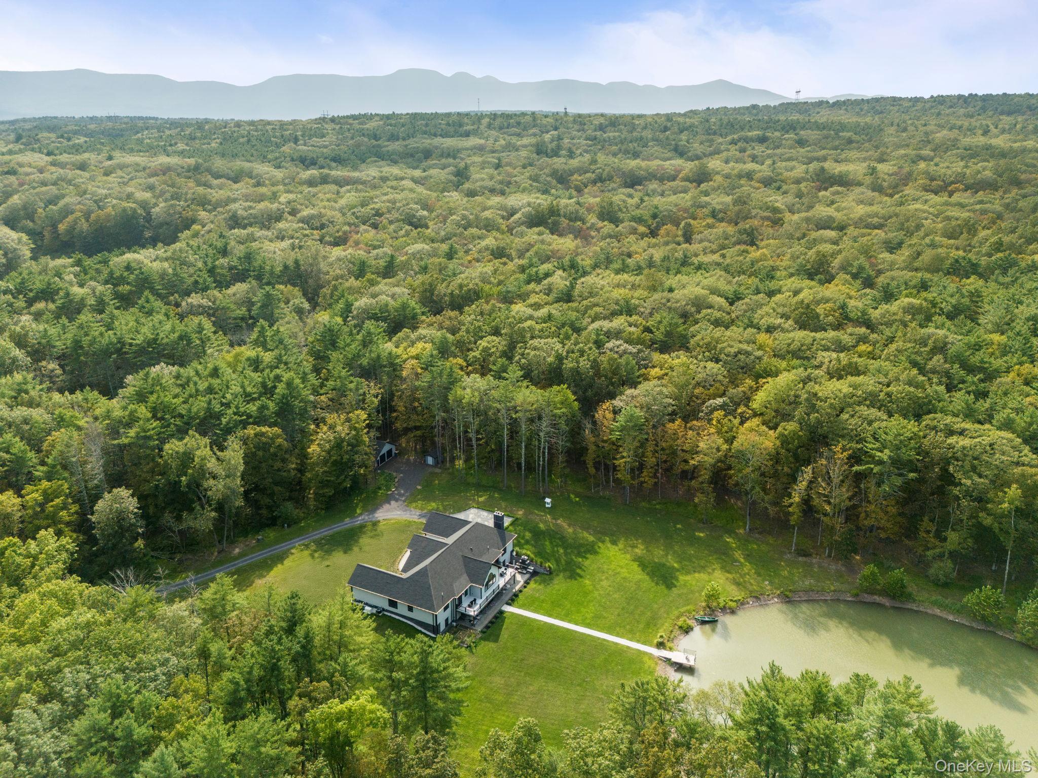 174 Webber Road Coxsackie, NY 12058 - Photo 47 of 50 a view of a lake with a mountain