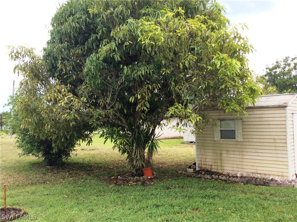 225 Danby Road Lehigh Acres, FL 33936 - Photo 20 of 20 a view of backyard with green space