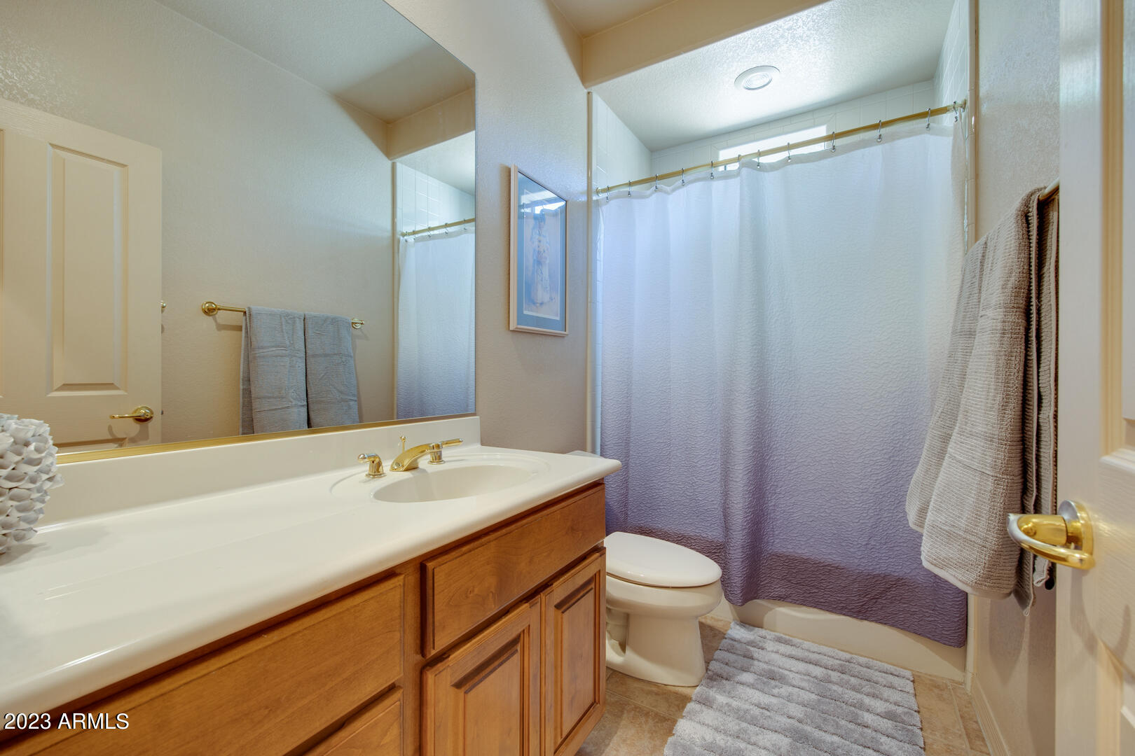 25603 North Sago Drive Rio Verde, AZ 85263 - Photo 13 of 25 a bathroom with a sink a toilet a mirror and shower