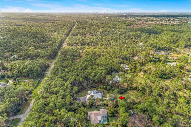 a view of a yard with plants