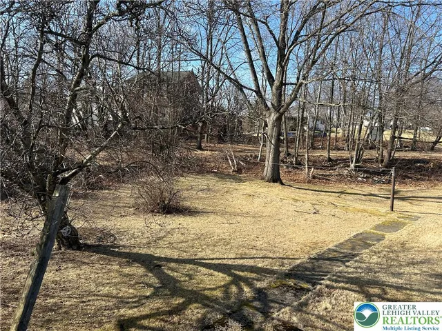 a view of outdoor space with garden