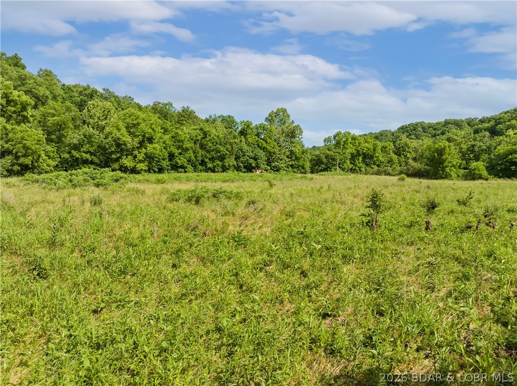 Broads Branch Road Macks Creek, MO 65786 - Photo 9 of 13 Level Acreage
