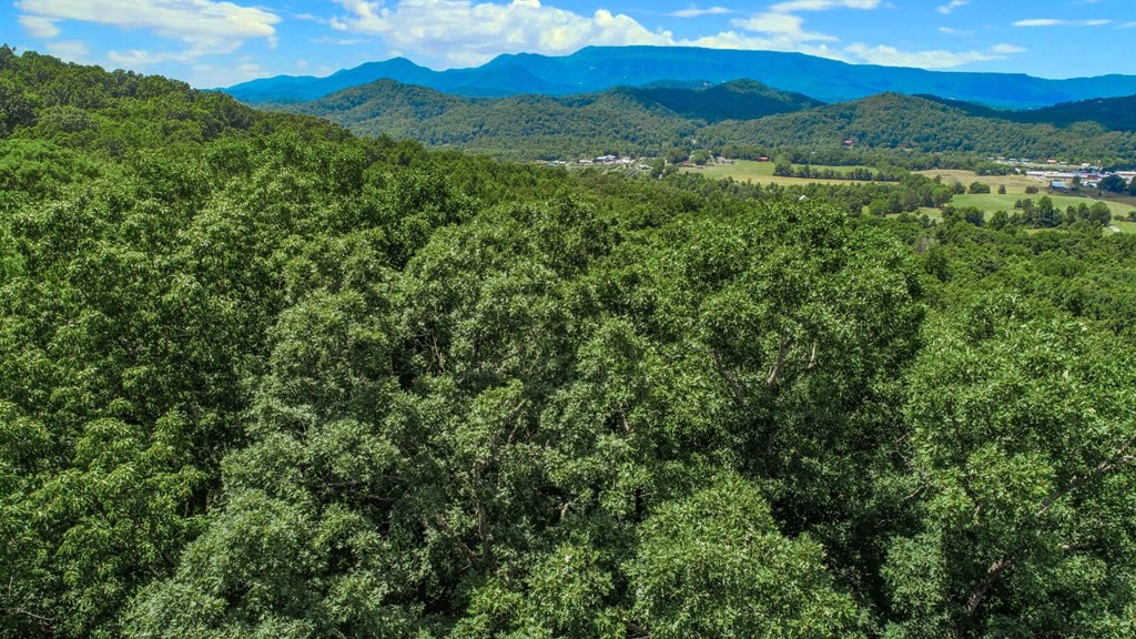 33983400 Laurelwood Road Cosby, TN 37722 - Photo 20 of 35 Gallery Image 20