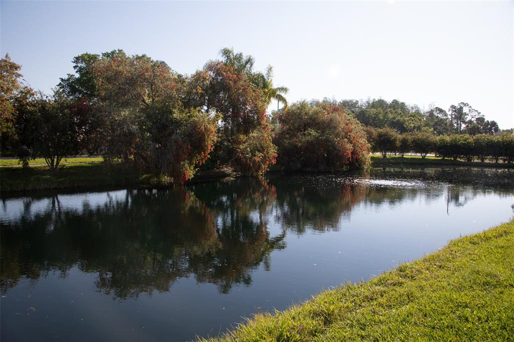 208 Hemingway Drive Oldsmar, FL 34677 - Photo 2 of 35