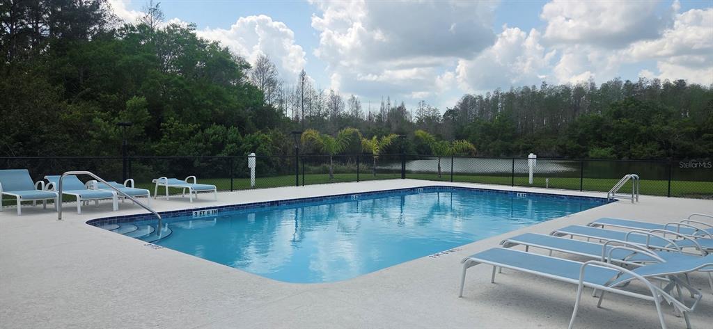 208 Hemingway Drive Oldsmar, FL 34677 - Photo 26 of 35