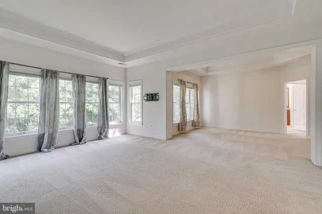 a view of a park with plants and large trees