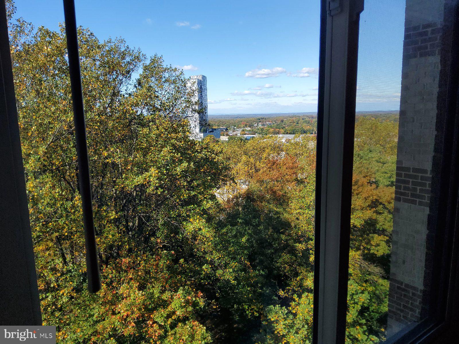 8370 Greensboro Drive, Unit 806 McLean, VA 22102 - Photo 15 of 31 a view of a city from a window