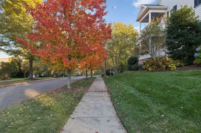 a view of a pathway with a yard