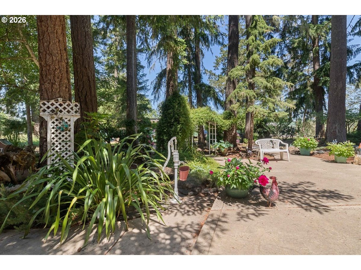 1300 Fair Oaks Road Oakland, OR 97462 - Photo 40 of 48 a view of a backyard with plants
