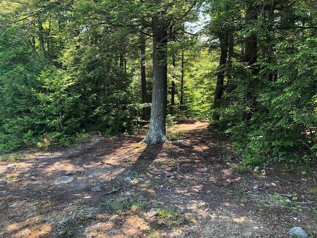 0 Dutton Hill Road Windham, ME 04062 - Photo 8 of 8 Pic 7