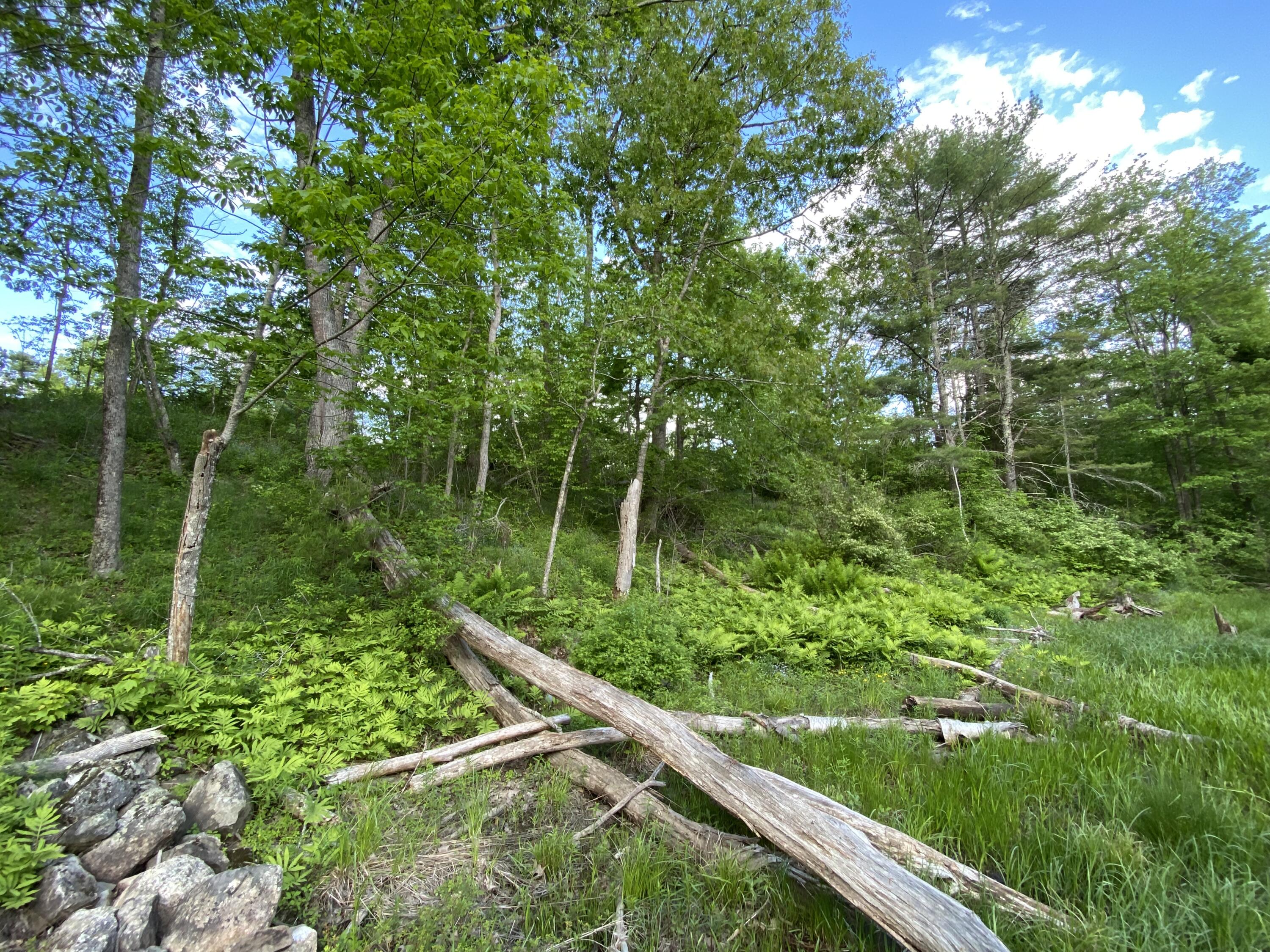 342 River Road Edgecomb, ME 04556 - Photo 21 of 57 IMG_7510