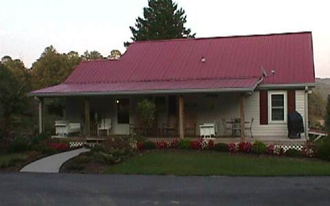 Main View