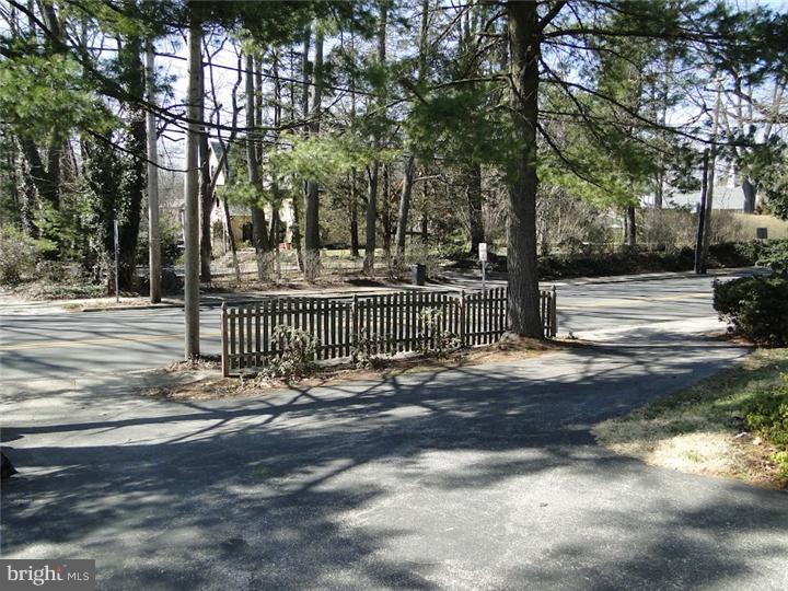 319 Haverford Road Wynnewood, PA 19096 - Photo 21 of 25 Driveway