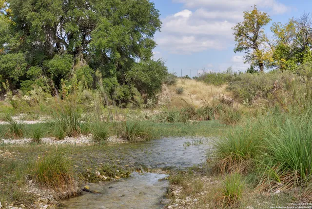 a view of a lake with lots of trees