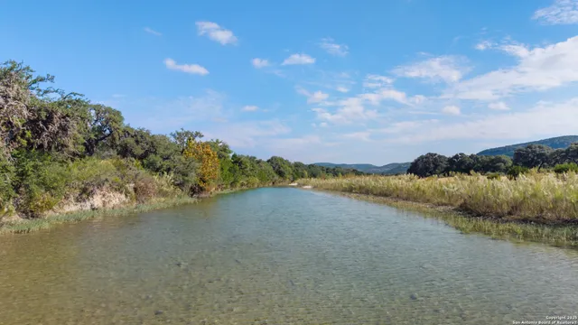 a view of a lake in middle of forest
