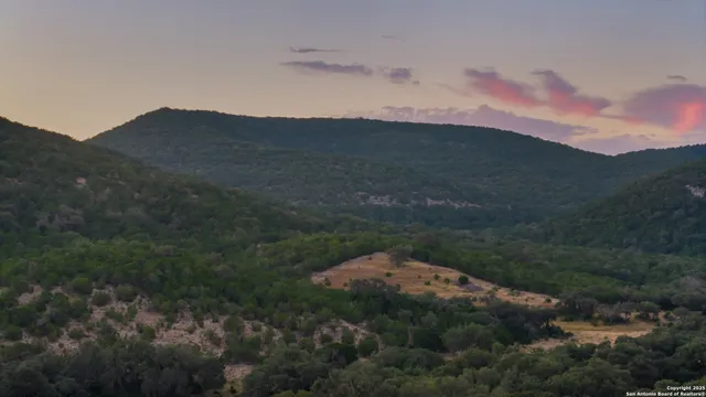 a view of a dry yard