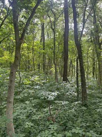 $225,000 | 900 West W Highway, Franklin, IN 46131