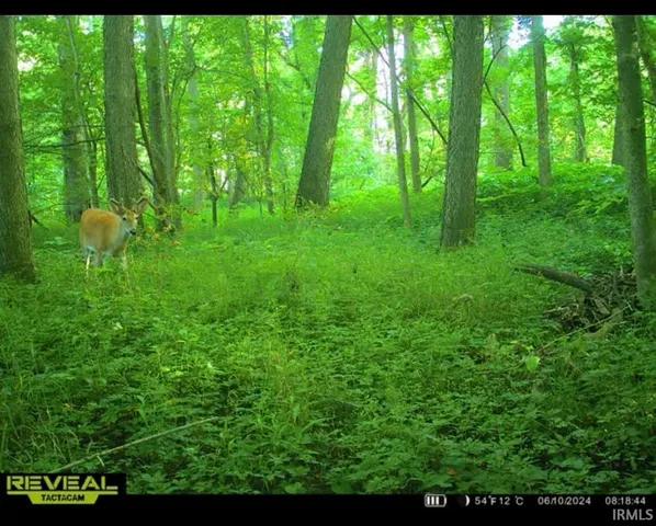 $225,000 | 900 West W Highway, Franklin, IN 46131