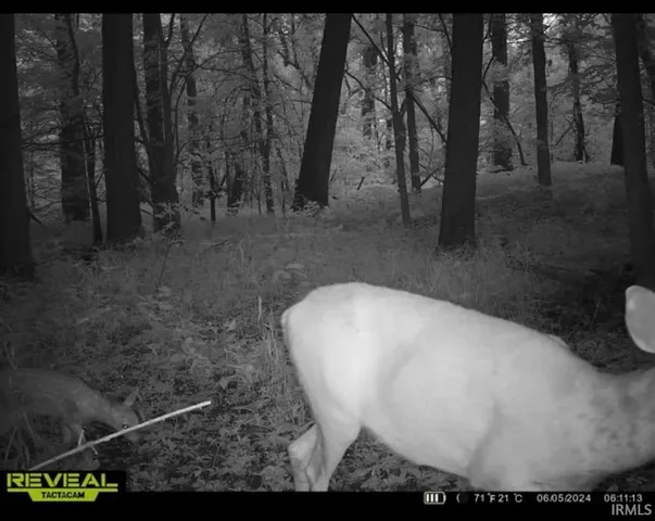 $225,000 | 900 West W Highway, Franklin, IN 46131