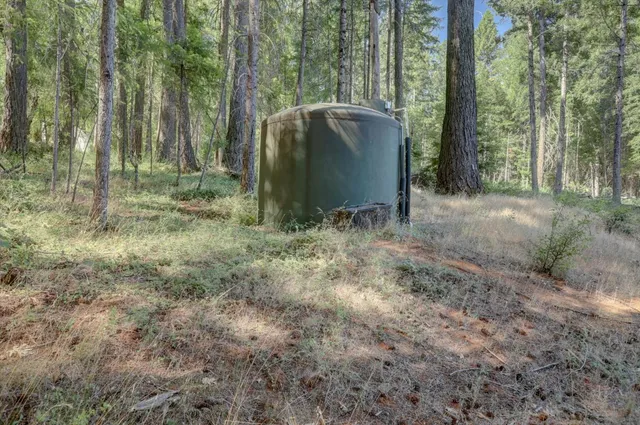 a view of a yard with plants and trees