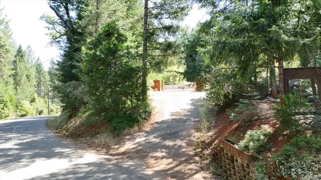 a view of a yard with plants and tree