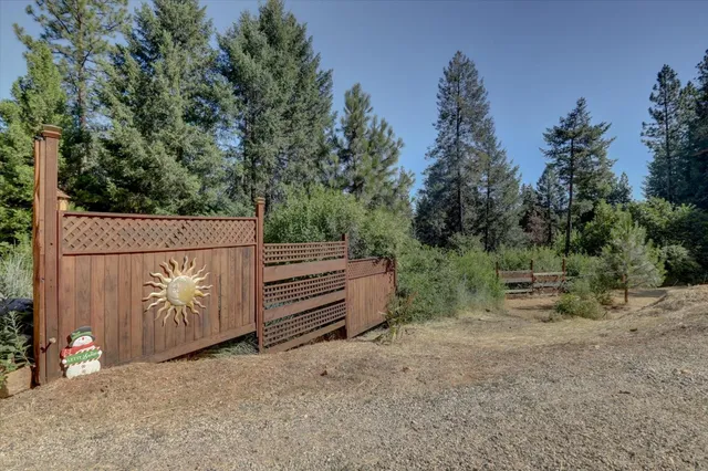a view of a forest with trees in the background