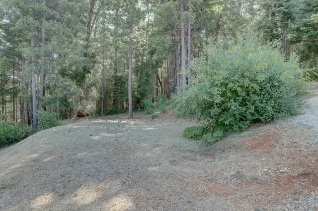 a backyard of a house with lots of green space