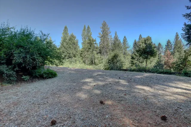 a view of a field with trees in the background