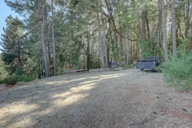 a view of a yard with a tree