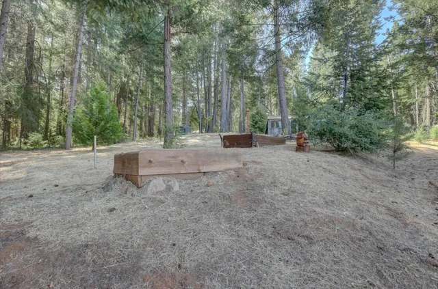 a view of backyard with a barn