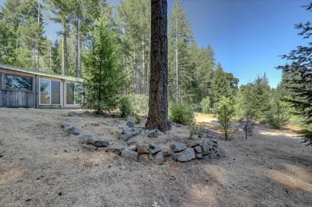 a view of a lush green field with a mountain in the background