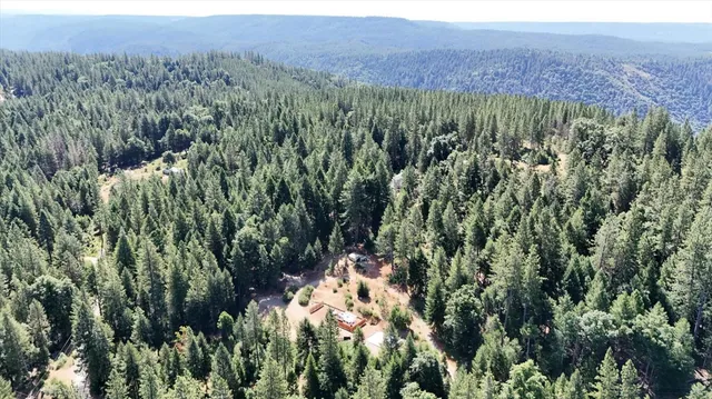 a view of a city with lush green forest