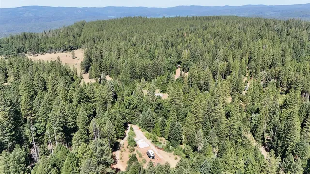 a view of living room with furniture and rug