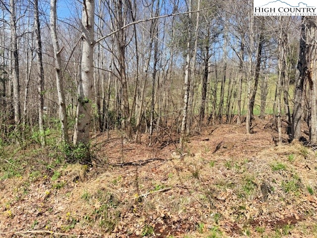 Robert Roten Road Warrensville, NC 28693 - Photo 8 of 10 Gallery Image 8