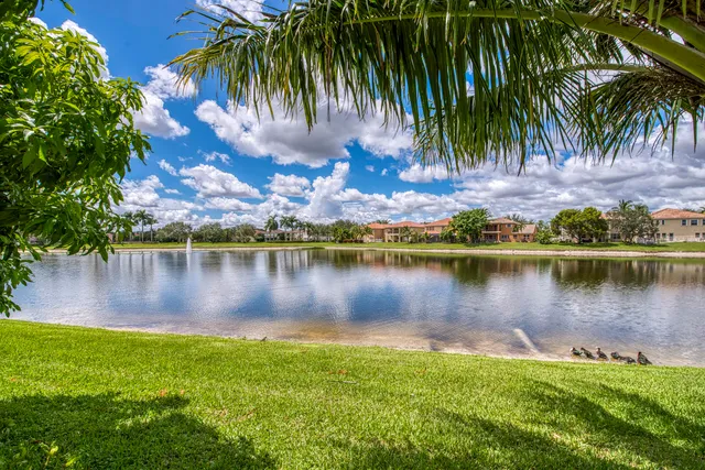 a view of a lake with palm trees