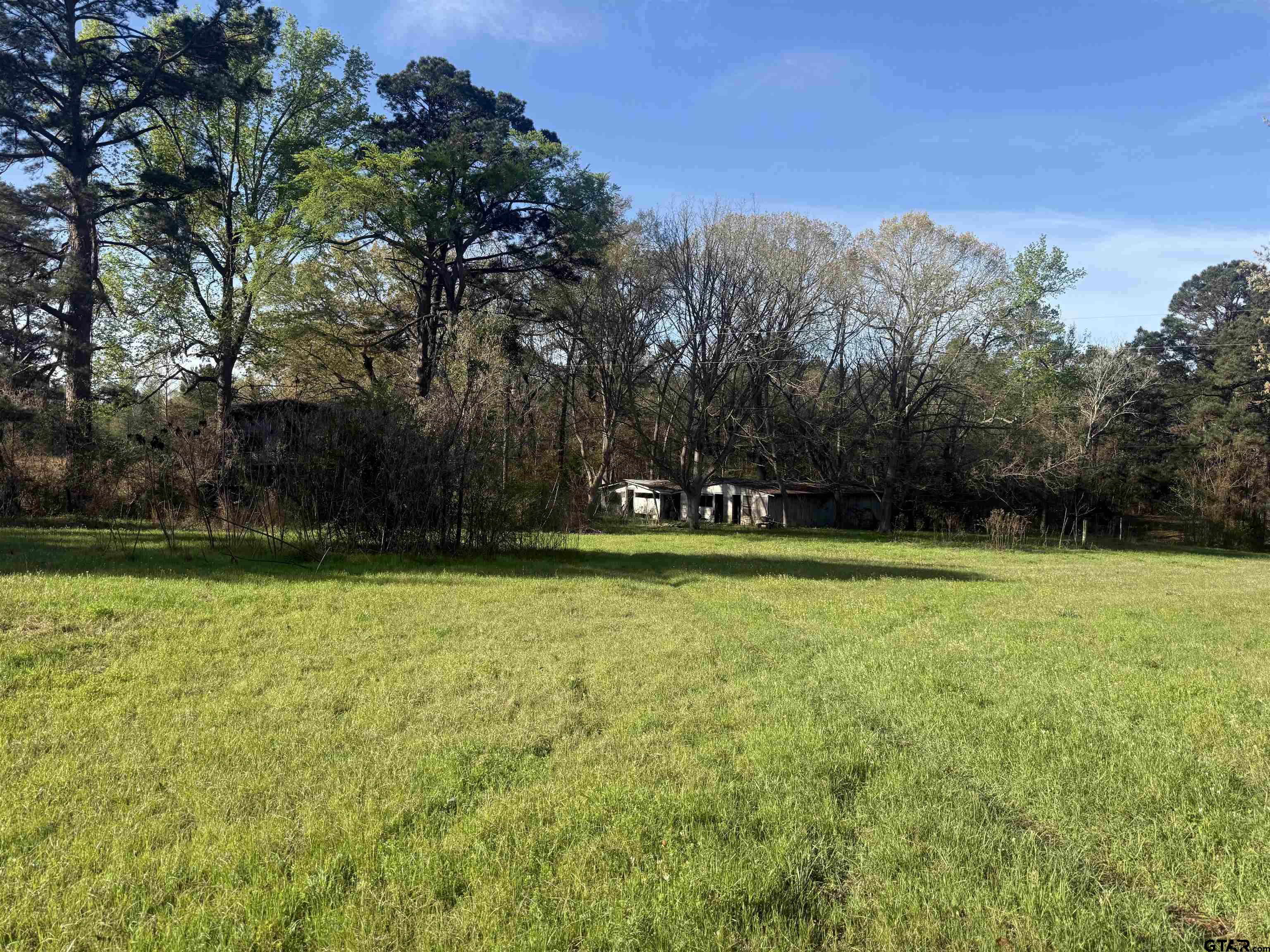 15830 Shady Creek Road Tyler, TX 75705 - Photo 3 of 18 a view of a yard with a tree