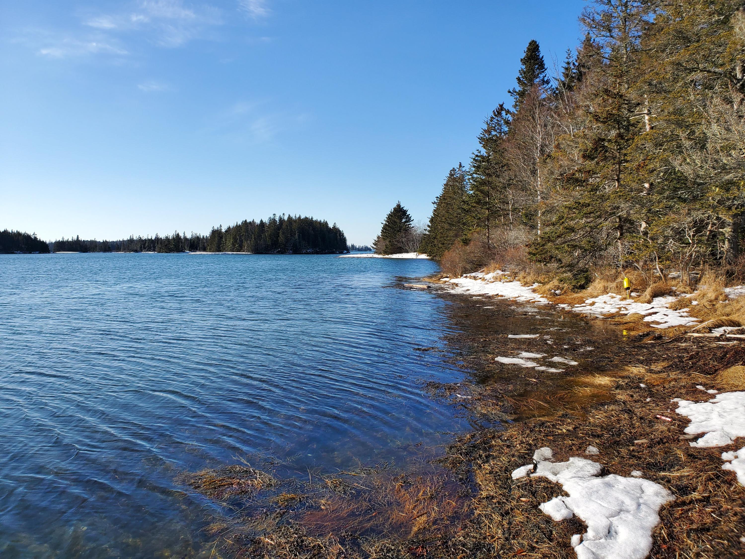 Lot 13-3 Dunham Point Road Deer Isle, ME 04627 - Photo 1 of 21 20200124_103633