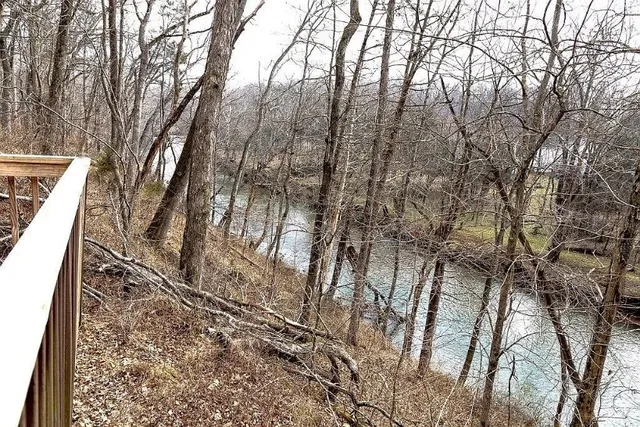 a view of a yard with plants and trees
