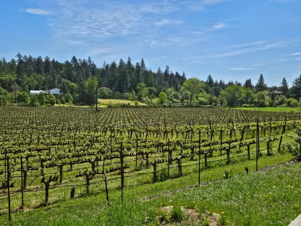 $1,495,000 | 1275 Summit Lake Drive, Angwin, CA 94508