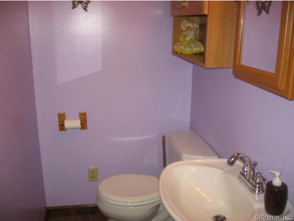 14011 St Rose Road Breese, IL 62230 - Photo 14 of 31