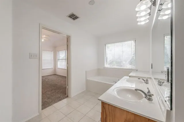 a bathroom with a sink and a bathtub