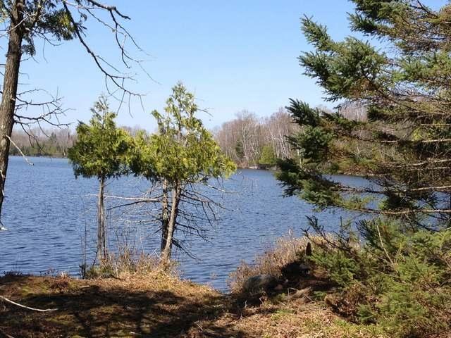 8730 Murphy Lake Road Presque Isle, WI 54557 - Photo 10 of 15 Gallery Image 10