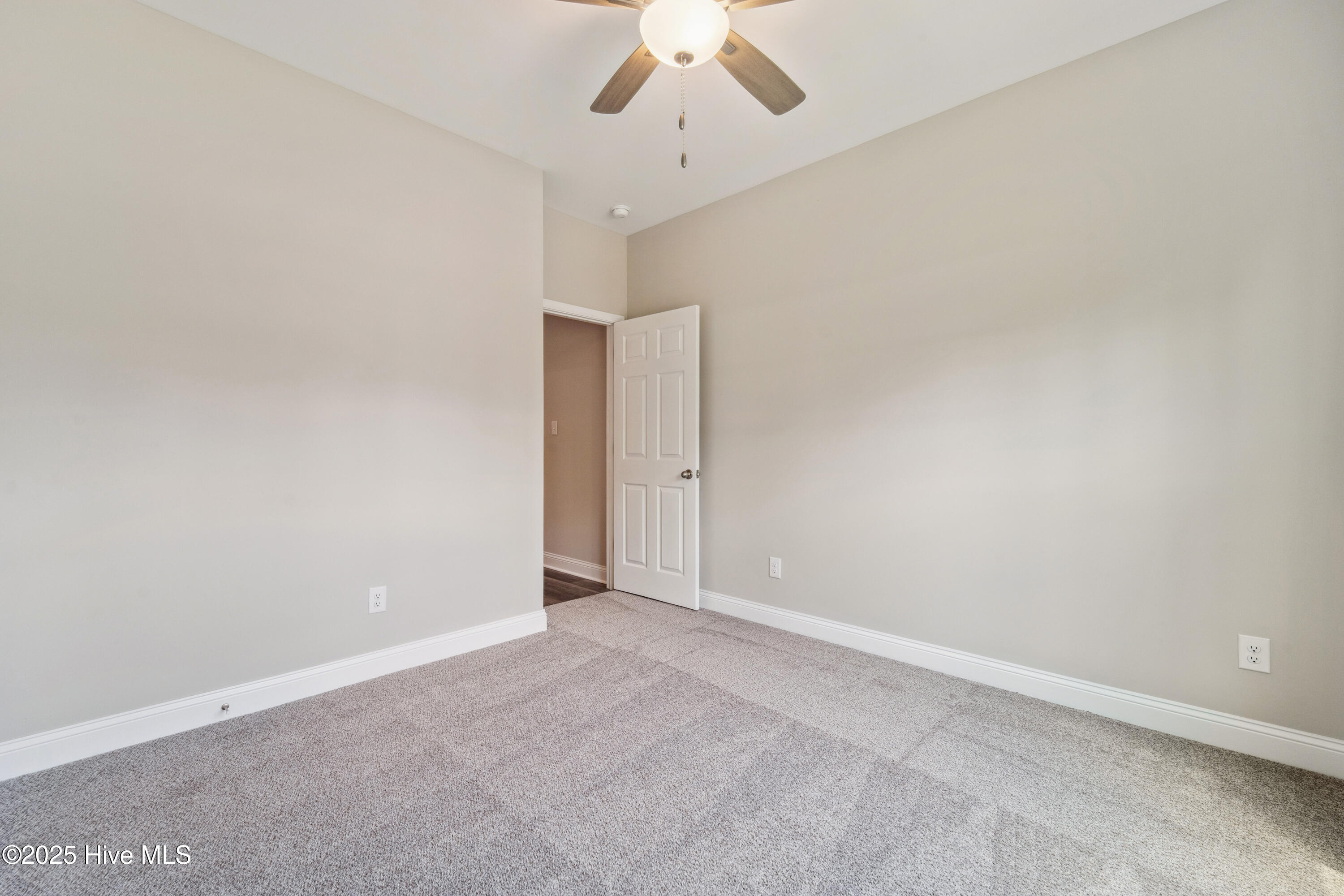688 South Corn Mill Road Beulaville, NC 28518 - Photo 32 of 61 DSC06449