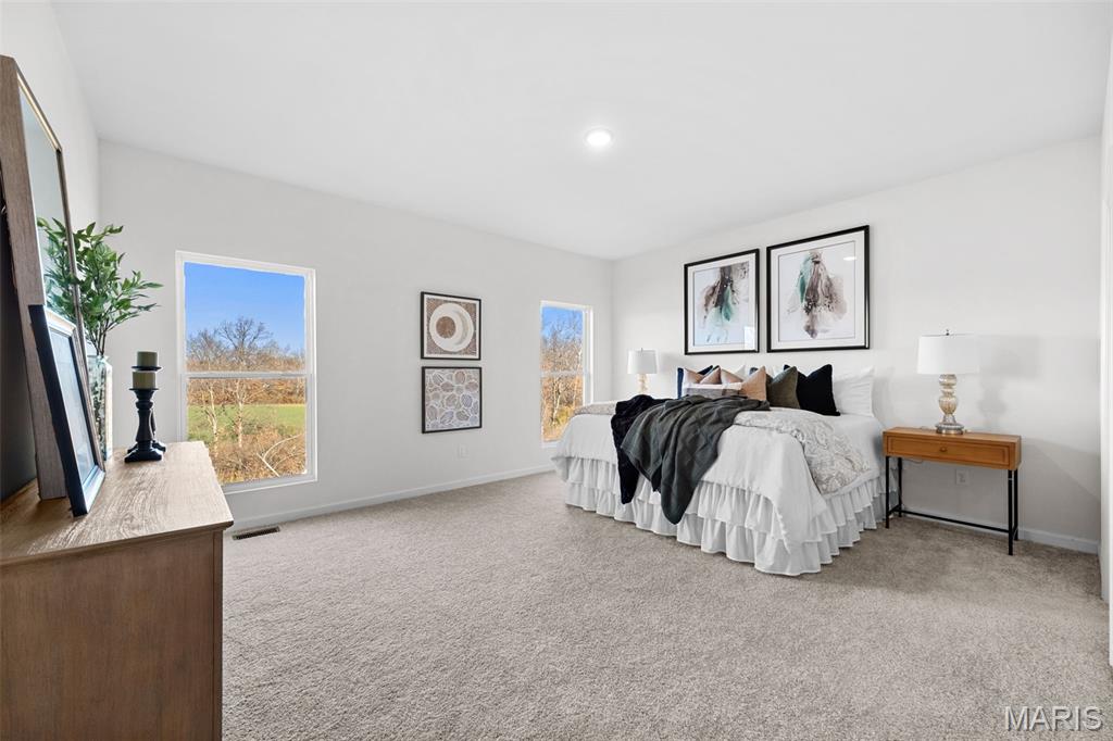 1 Tbb Westbrook @ Pinckney Ridge Warrenton, MO 63383 - Photo 13 of 36