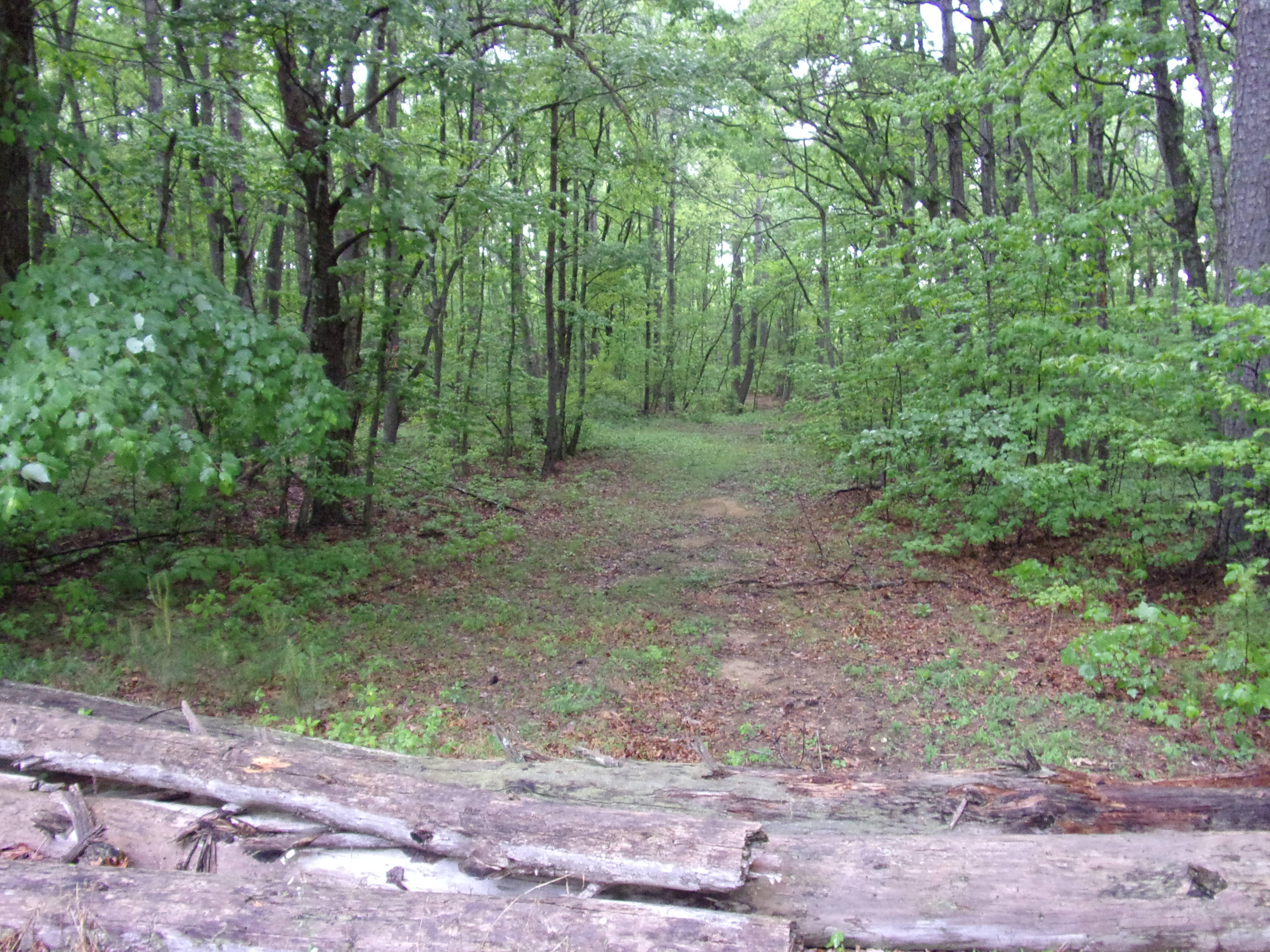 108 Jason Road, Unit 108 Pikeville, TN 37367 - Photo 4 of 22 101_1149