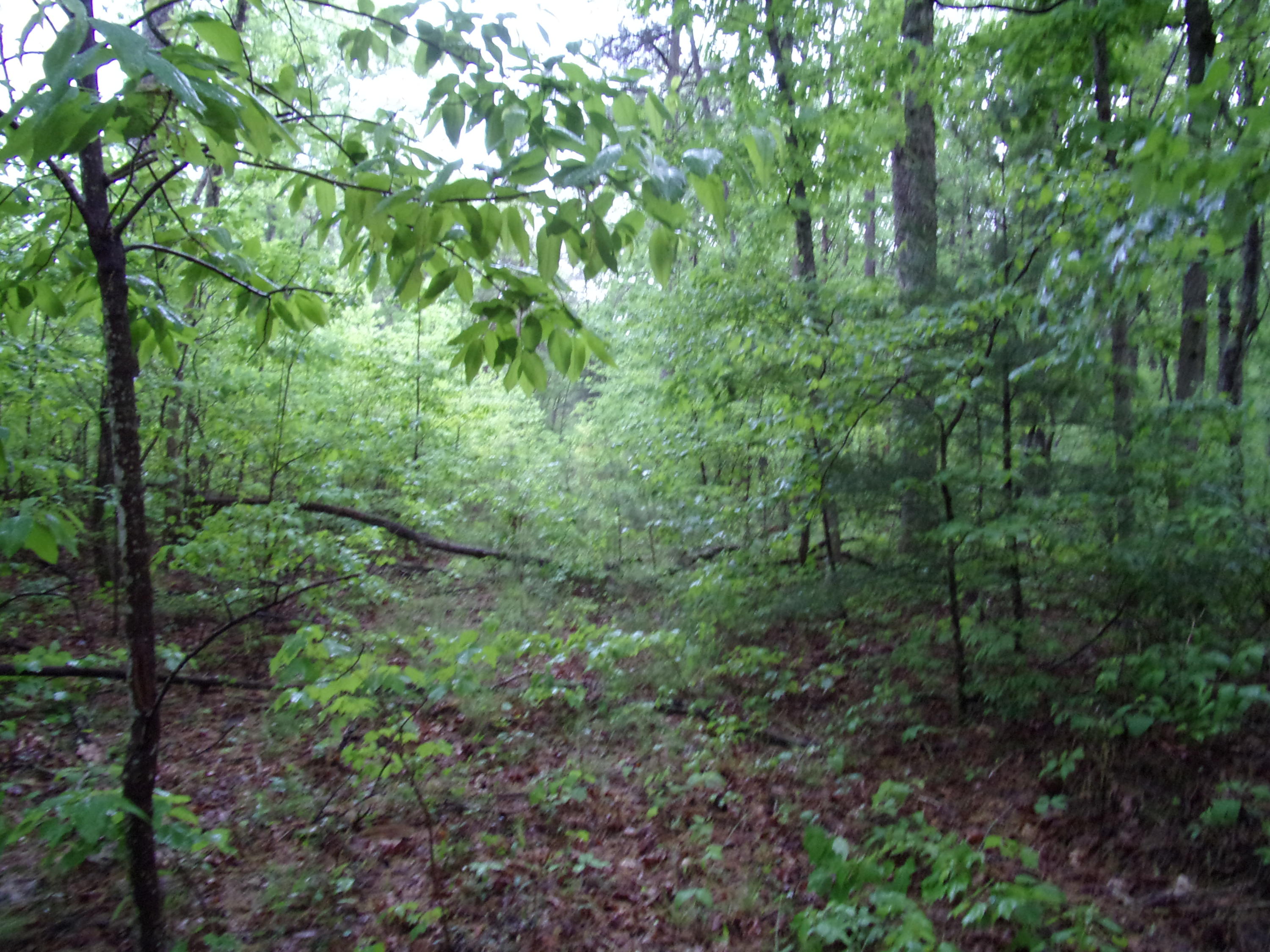 108 Jason Road, Unit 108 Pikeville, TN 37367 - Photo 7 of 22 101_1153
