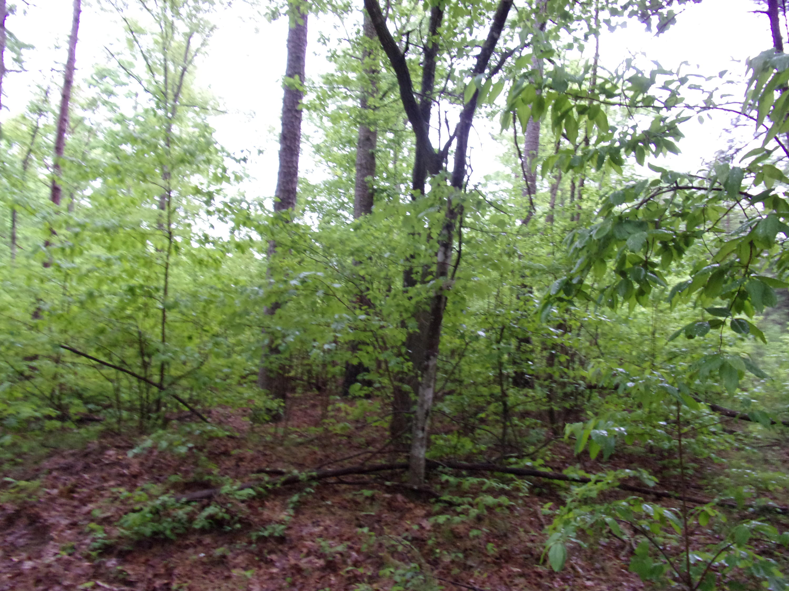 108 Jason Road, Unit 108 Pikeville, TN 37367 - Photo 8 of 22 101_1154